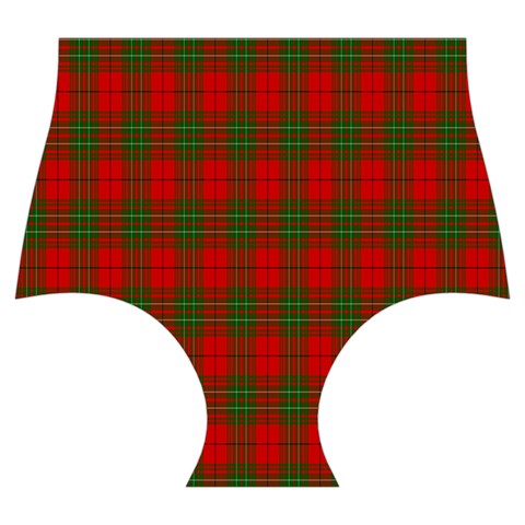 Comyn Tartan Skater Dress Swimsuit from ArtsNow.com Bottom Front