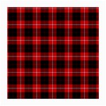 Cunningham Tartan Medium Glasses Cloth (2 Sides)