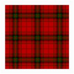 MacDougall Tartan Medium Glasses Cloth