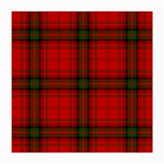 MacDougall Tartan Medium Glasses Cloth (2 Sides) from ArtsNow.com Back