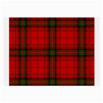 MacDougall Tartan Large Glasses Cloth