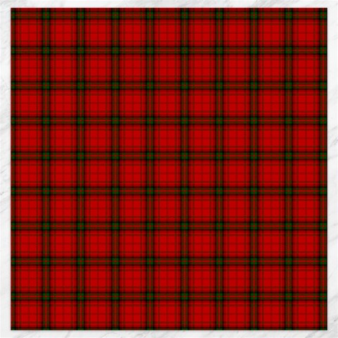 MacDougall Tartan Canvas 20  x 20  from ArtsNow.com 19 x19.27  Canvas - 1