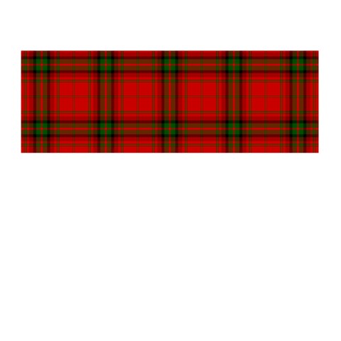 MacDougall Tartan Memory Card Reader (Stick) from ArtsNow.com Front