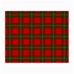 MacGregor Tartan Small Glasses Cloth (2 Sides)