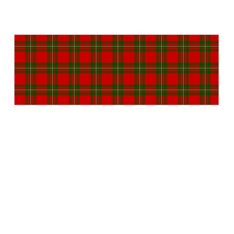 MacGregor Tartan Memory Card Reader (Stick) from ArtsNow.com Front