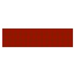MacNab Tartan Satin Scarf (Oblong)
