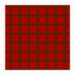 MacNab Tartan Medium Glasses Cloth