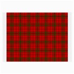 MacNab Tartan Large Glasses Cloth