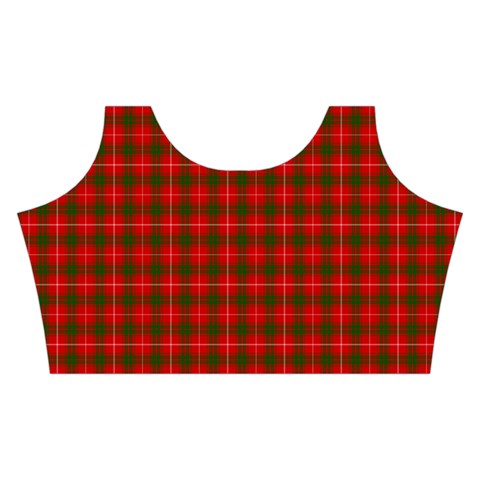 Prince of Rothesay Tartan Skater Dress Swimsuit from ArtsNow.com Top Front