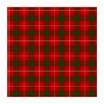 Prince of Rothesay Tartan Medium Glasses Cloth