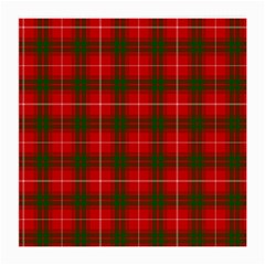 Prince of Rothesay Tartan Medium Glasses Cloth (2 Sides) from ArtsNow.com Back