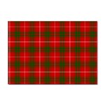 Prince of Rothesay Tartan Sticker A4 (10 pack)