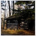 Cabin At The Pennsylvania Grand Canyon  by Ave Hurley  Canvas 16  x 16 