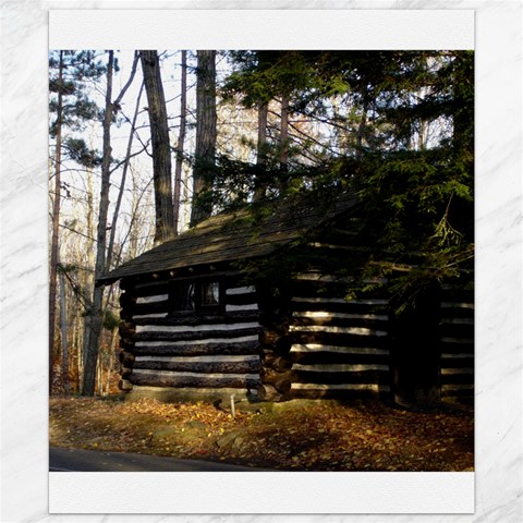 Cabin At The Pennsylvania Grand Canyon  by Ave Hurley  Canvas 20  x 24  from ArtsNow.com 19.57 x23.15  Canvas - 1