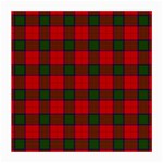 Robertson Tartan Medium Glasses Cloth