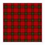 Seton Tartan Medium Glasses Cloth