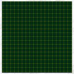 Cranstoun Tartan Canvas 12  x 12 