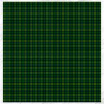 Cranstoun Tartan Canvas 20  x 20 