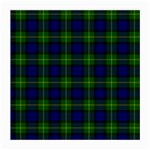 Gordon Tartan Medium Glasses Cloth