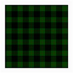 Gunn Tartan Medium Glasses Cloth