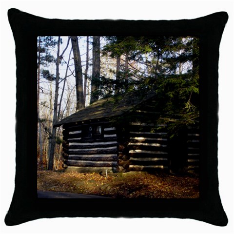 Cabin At The Pennsylvania Grand Canyon  by Ave Hurley Throw Pillow Case (Black) from ArtsNow.com Front