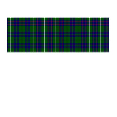 MacIntyre Tartan Memory Card Reader (Stick) from ArtsNow.com Front