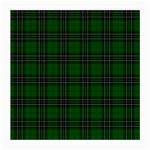 MacLean Tartan Medium Glasses Cloth