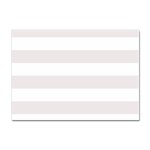 Horizontal Stripes - White and Pastel Pink Sticker A4 (10 pack)