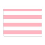 Horizontal Stripes - White and Pastel Pink Sticker A4 (10 pack)