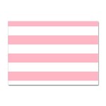 Horizontal Stripes - White and Cherry Blossom Pink Sticker A4 (10 pack)
