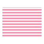 Horizontal Stripes - White and Flamingo Pink Double Sided Flano Blanket (Mini)