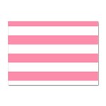 Horizontal Stripes - White and Flamingo Pink Sticker A4 (100 pack)