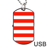 Horizontal Stripes - White and Ferrari Red Dog Tag USB Flash (Two Sides)