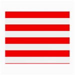 Horizontal Stripes - White and Red Small Glasses Cloth