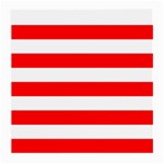 Horizontal Stripes - White and Red Medium Glasses Cloth (2 Sides)
