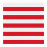 Horizontal Stripes - White and Alizarin Red Medium Glasses Cloth