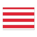 Horizontal Stripes - White and Alizarin Red Sticker A4 (10 pack)