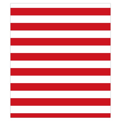 Horizontal Stripes Back