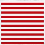 Horizontal Stripes - White and Fire Engine Red Canvas 20  x 20 