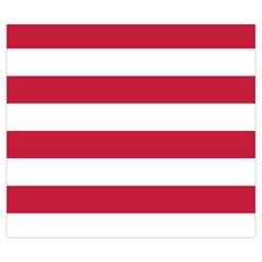 Horizontal Stripes Back