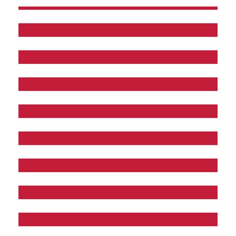 Horizontal Stripes Back