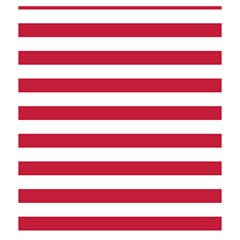 Horizontal Stripes Back