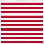 Horizontal Stripes - White and Cardinal Red Canvas 12  x 12 