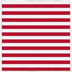 Horizontal Stripes - White and Cardinal Red Canvas 16  x 16 