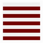 Horizontal Stripes - White and Maroon Red Medium Glasses Cloth (2 Sides)