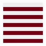 Horizontal Stripes - White and Burgundy Red Medium Glasses Cloth (2 Sides)