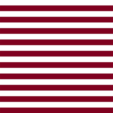 Horizontal Stripes 12 x12  Scrapbook Page - 1