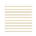 Horizontal Stripes - White and Pearl Brown Small Satin Scarf  (Square)