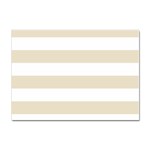 Horizontal Stripes - White and Pearl Brown Sticker A4 (100 pack)