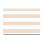 Horizontal Stripes - White and Almond Brown Sticker A4 (10 pack)